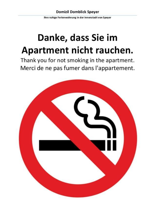 Domizil Domblick Speyer City, Garage, 50M2 Buitenkant foto
